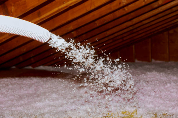 Best Cellulose Insulation  in Gadsden, AL